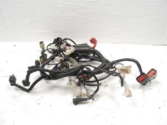 MUTT  RS-13 250 MAIN WIRING LOOM HARNESS