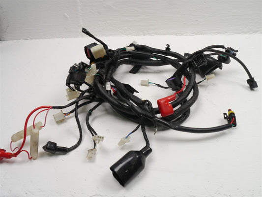 WK BIKES SX 125 2021-2023 WIRING LOOM HARNESS